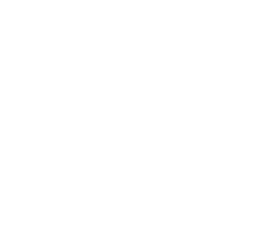 Magnolias Media Logo